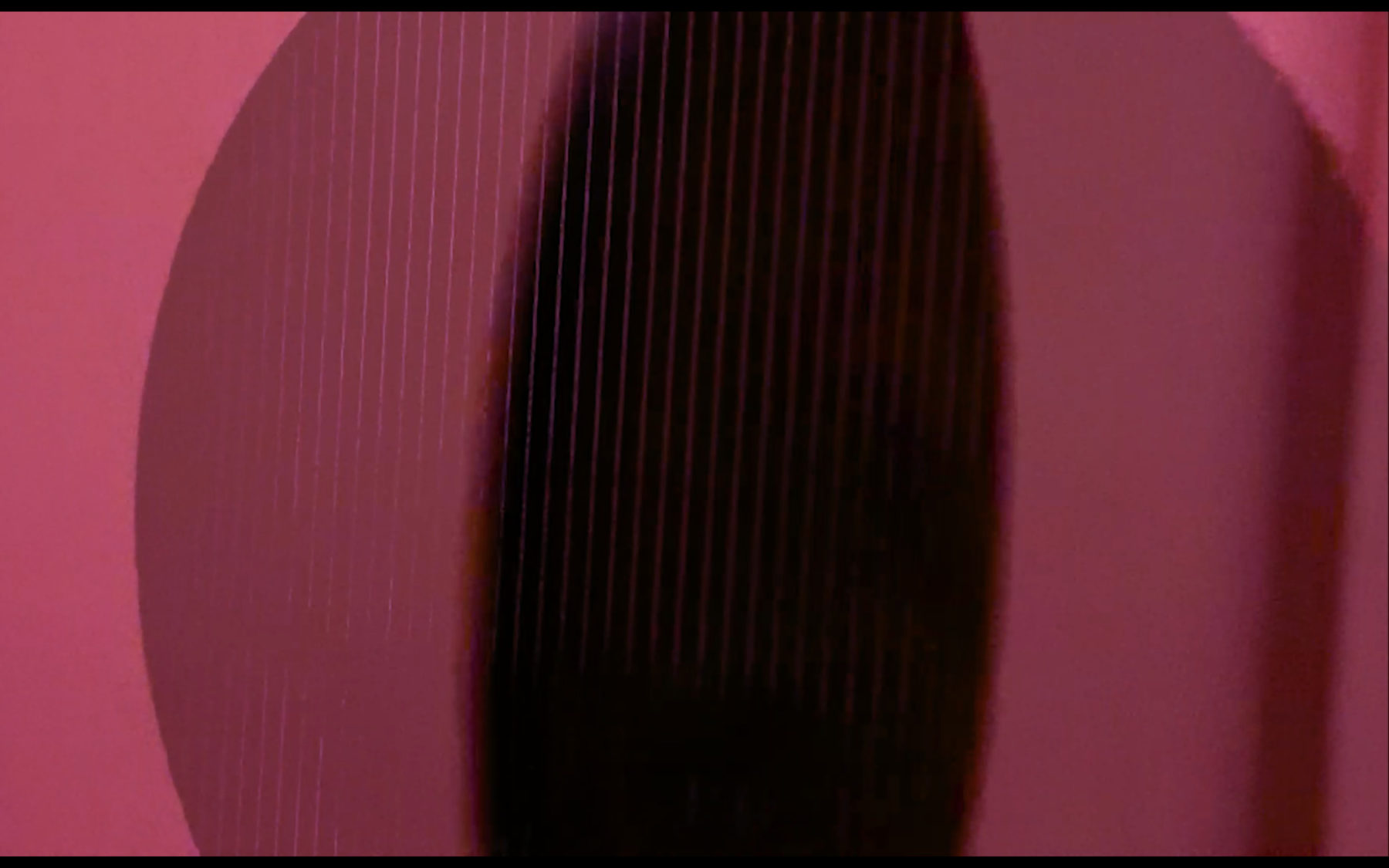 EYE (2022) - Vidéo de Euridice Zaituna Kala