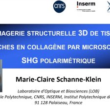 Présenattion de Marie Calire Schanne Klein